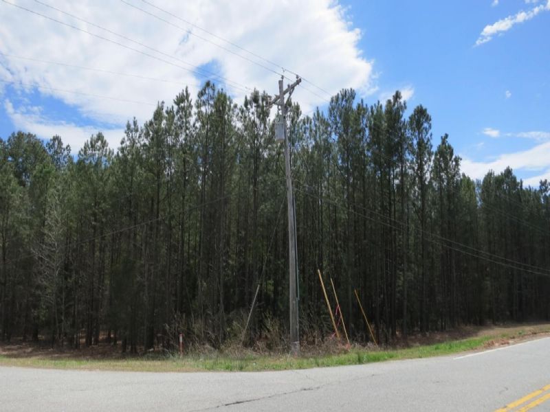 Highway 56 Commercial Tract : Clinton : Laurens County : South Carolina