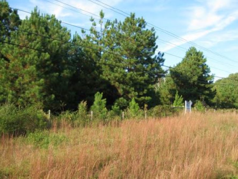 Long-term Investment Tract : Covington : Newton County : Georgia