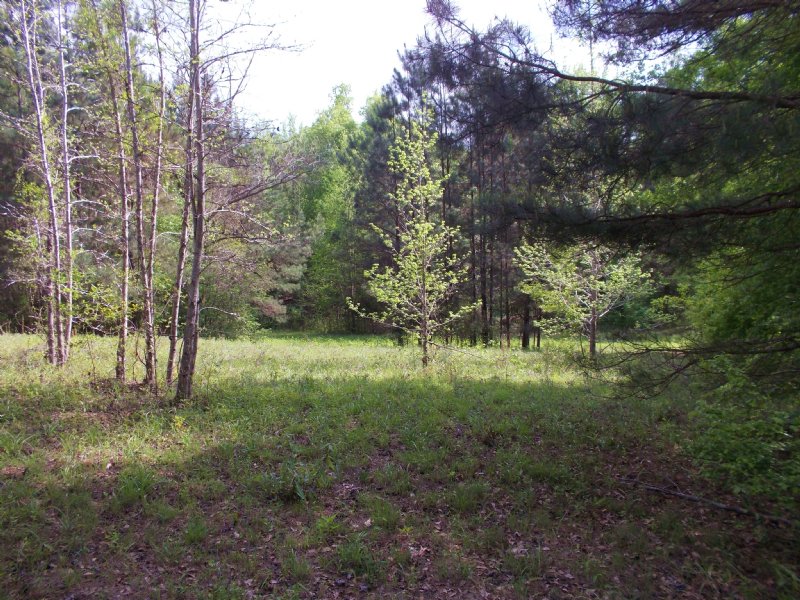Beautiful Wetumpka Commercial Lot : Wetumpka : Elmore County : Alabama