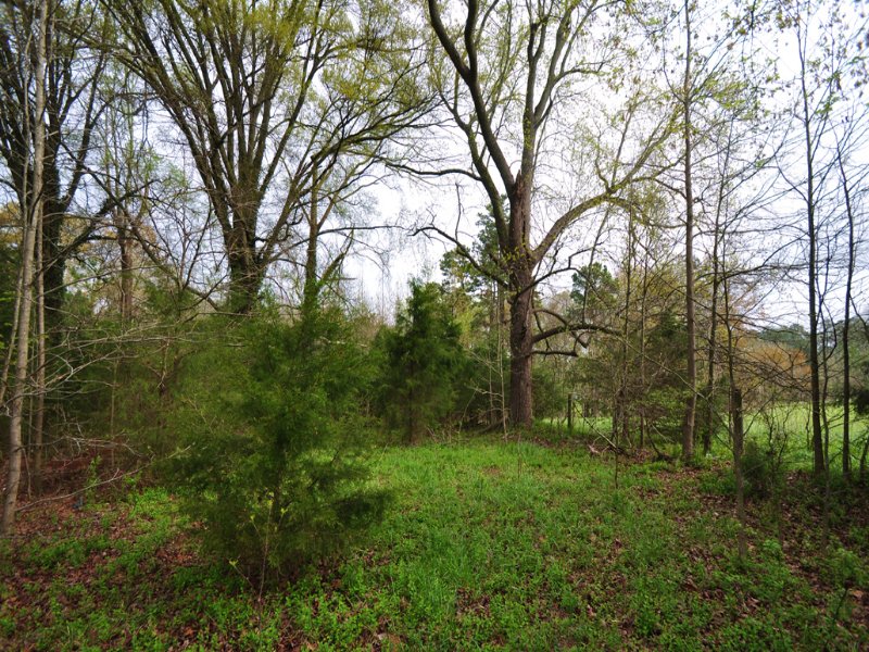 2 Acres Road Frontage On 64 Hwy : Siler City : Chatham County : North Carolina
