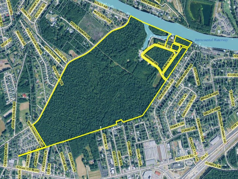 176.53 Acres Folley-stalvey Pine : Myrtle Beach : Horry County : South Carolina